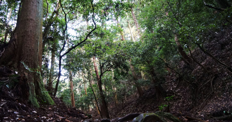 Nanzenji – An unexpected hike